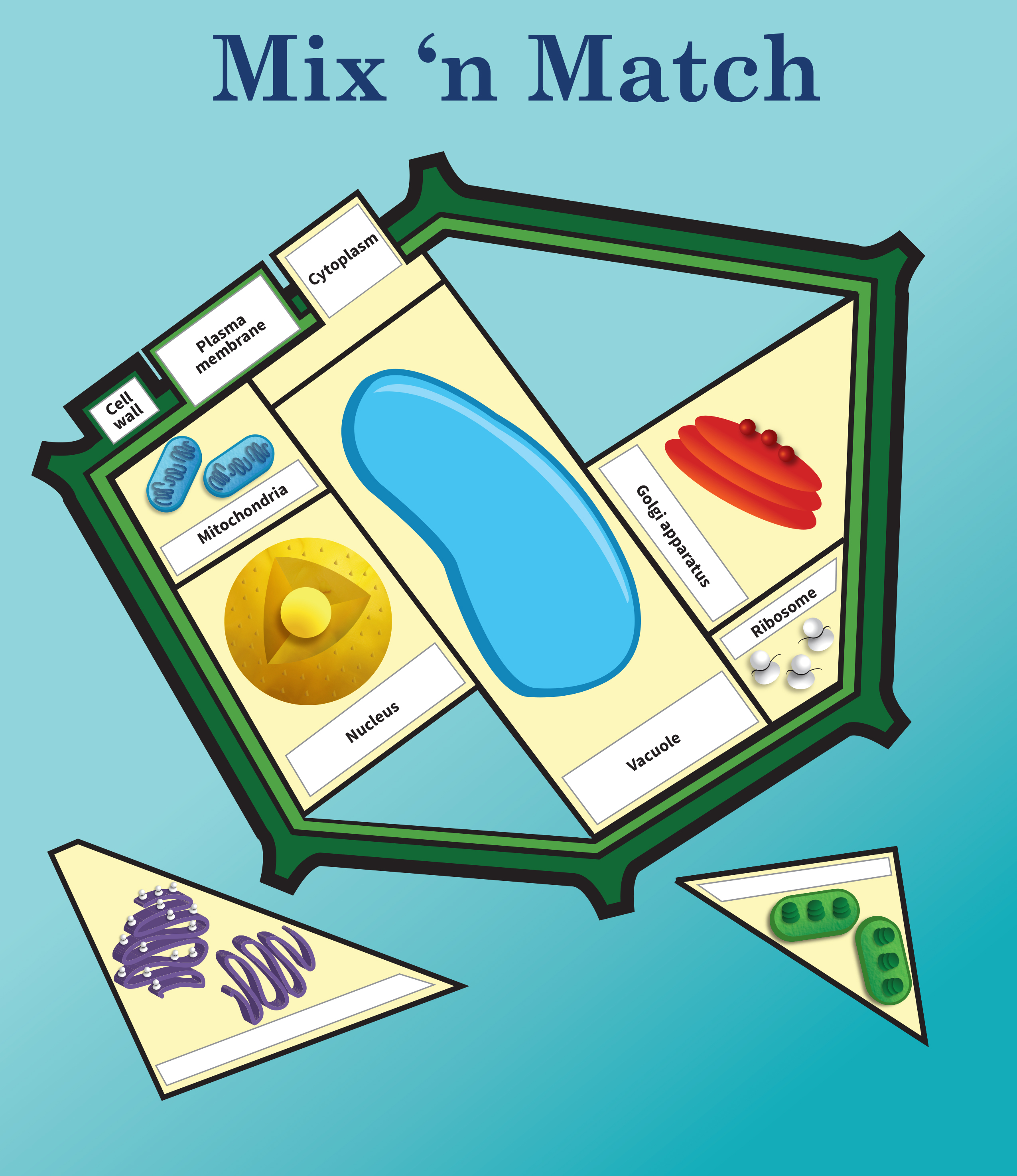 Mix and Match graphic