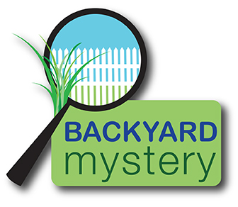 Backyard Mystery Logo